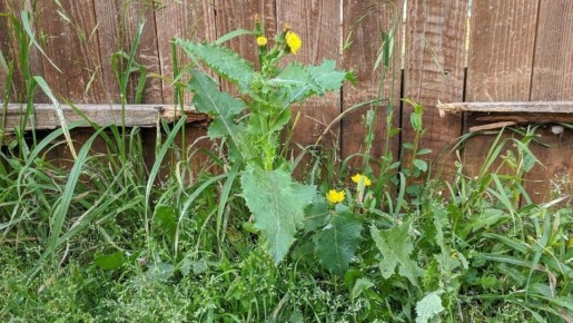 10 ������������ ������ � ��������, ������� ������� ���� ����������