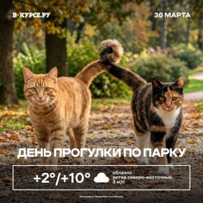 ������ ����! ������� ��������� �� +10 ��������