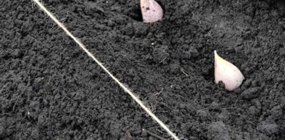 ��� ��������� ������-������: ������� �������� ��������� �������