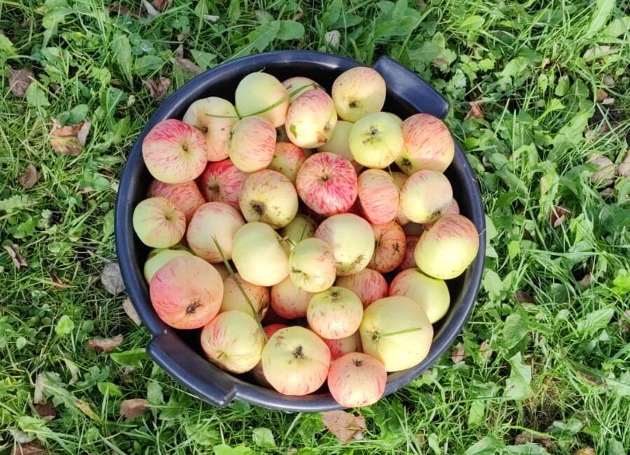 ��������, ������� ������� ���: ������� ������������� �������� �������