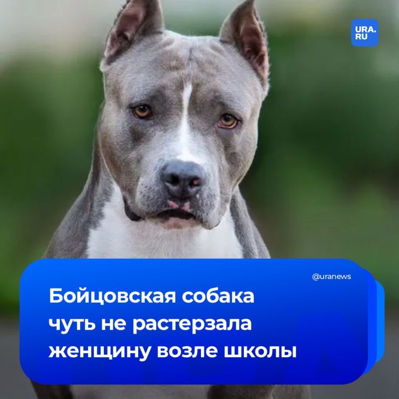 ���������� ������������ ����� ���� ����� ��������� ������