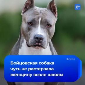 ���������� ������������ ����� ���� ����� ��������� ������