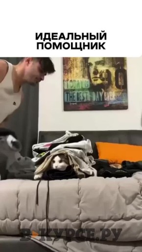 �������� ������� �� �� �����.��