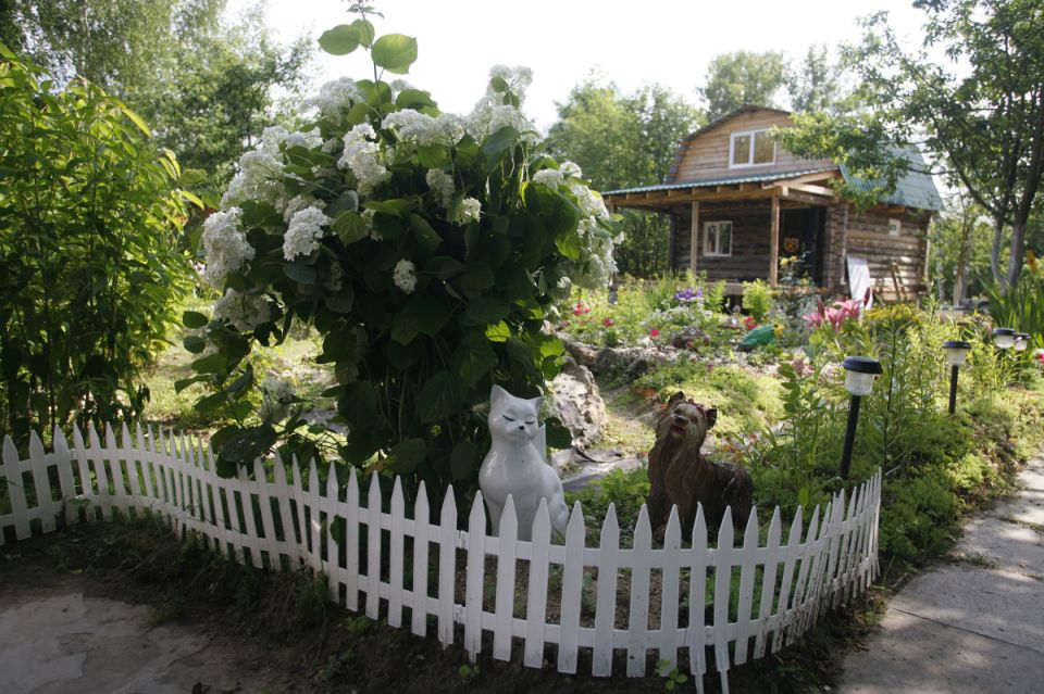 ������ � ������� �������: ��������� ����������� ������, ������ � �������� �������