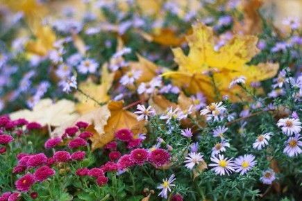 ������� �� ����: ����� ������� � ��������� ������