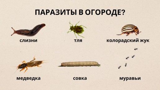 ����������� ������ ������ � ����������� � ������� ��� ������� ������