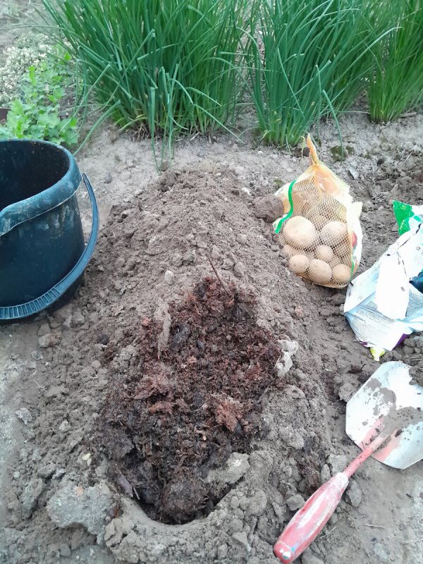 ����������� ������ ������ � ������������� �� ���������: ��� �����