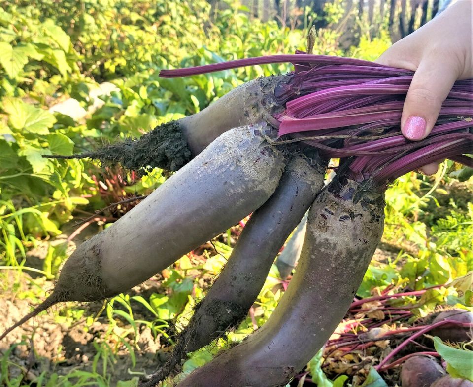 ��� ����������, ��� ����� ������ � ������ � ��� � ��������� �������