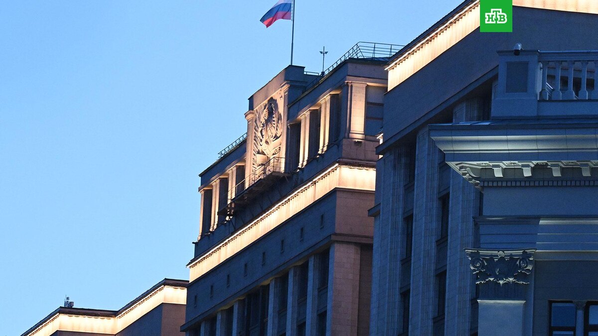 Ужесточение контроля за доходами: новый законопроект в Госдуме