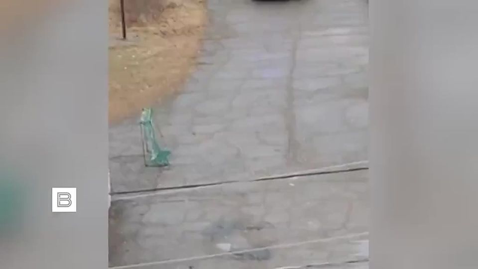 ���������, ������� ���� ����������� � ����� �������� ����, ��������� �� ��������������� ����������