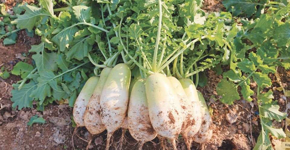 ����: ���������� ���������� ��������� ����� � ��� ����������