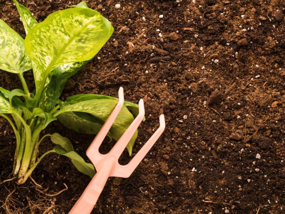 ��� ����������� ������� � ��������� ������: �������� ����