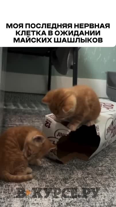 ��������, ������� �� �� �����.��