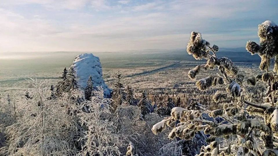 ������� ����� � ������ ��������� �������� ����� 9 ������