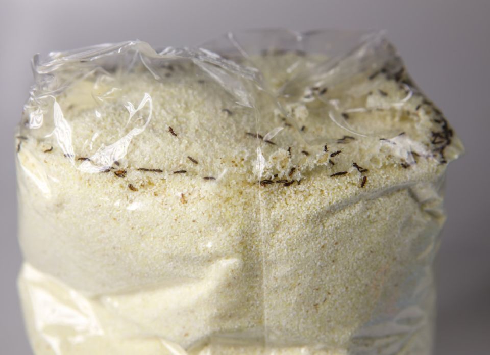 ��� �������� ������� � ������� � ����: ��� ���������������� ��������