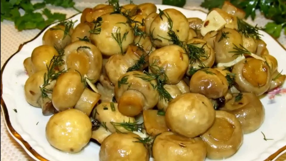 ��������� �����������: ��� ����������� ����������� ������� ������� �� ��������