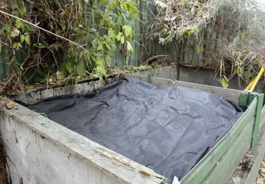 ��� ��������� ������� � ������ ������: ������� ������ �� ���������