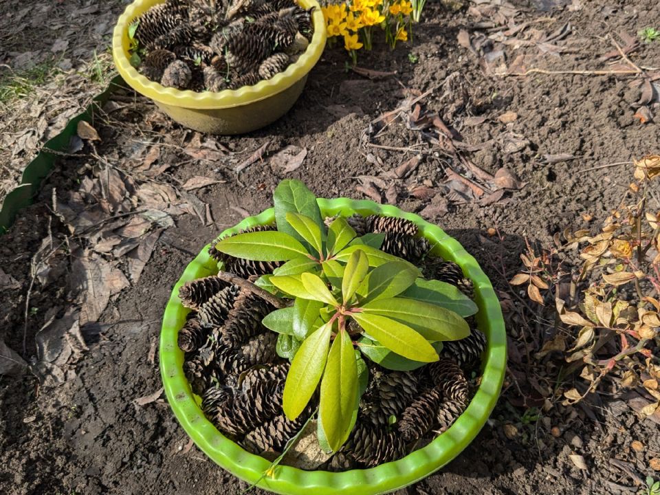 ��� ������������ �������� ���� � �����?