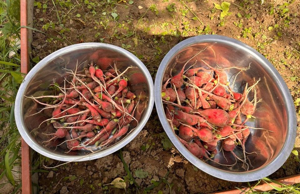 ��� ���������� ������������ � ��������� �������� ������: 7 ������������� �������