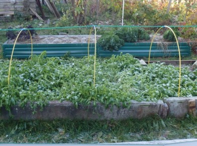 ��� �� �������� ������ � ��������� ������ � �������� ��������