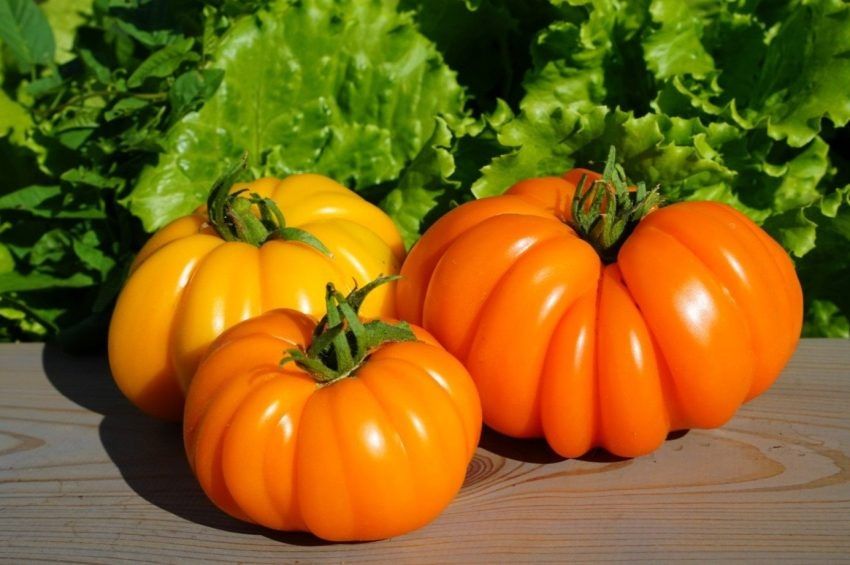 ����� ������� ������: ������� ����-����� ��� ���������� ��������