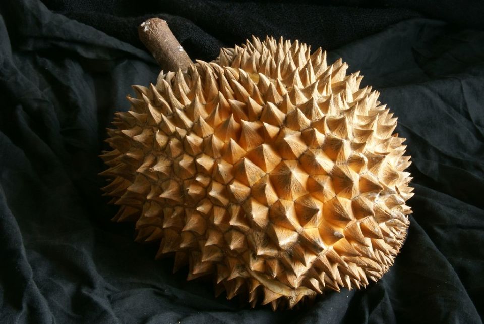 ������: ������������ �����, ������� ����� �������