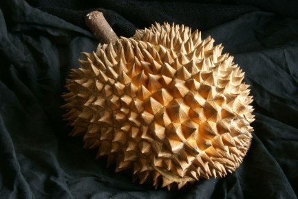 ������: ������������ �����, ������� ����� �������