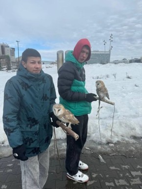 Предпринимателей, которые на эспланаде предлагали сфотографироваться с совами, оштрафовали