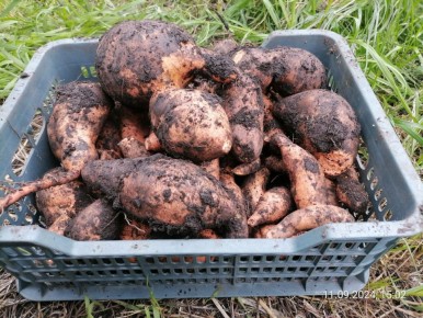 ����� �� ������� ������: ������� ��������� ������