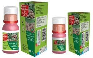 ����������� ������ ������ � ����������� �����: �������� �������� �� ������ ������ ������