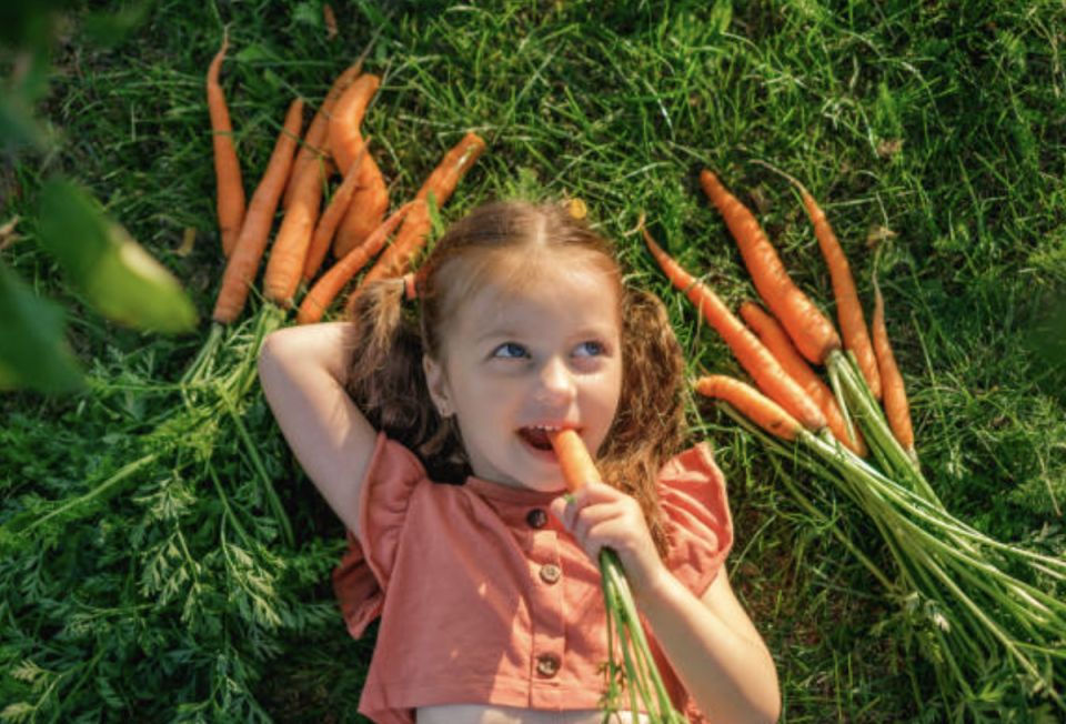 �������: ������� ��������� ����� � �������� �����������