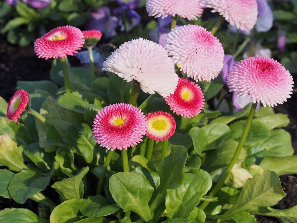 �������� �������� ����������: ������� ��� ������ � ��������� � ������?