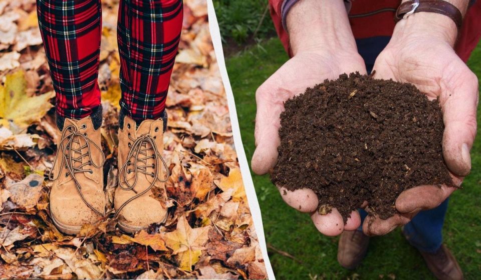 ��� �� 2 ������ ���������� ������� ������ � ����������� �������