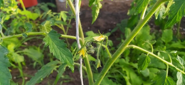 ������ ������: ������ ����� �������� ������ ����� � �������