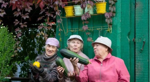 ��� ��������� ������� �������� � ������� �� ����: ������� ������