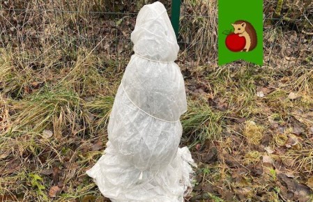 ������ ���� ��� ������� � ��� �� ������ ������