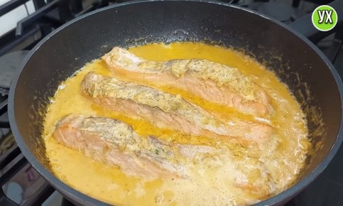 ������������ ����������� ����: ��� � �������� � ���� � ��������� �����