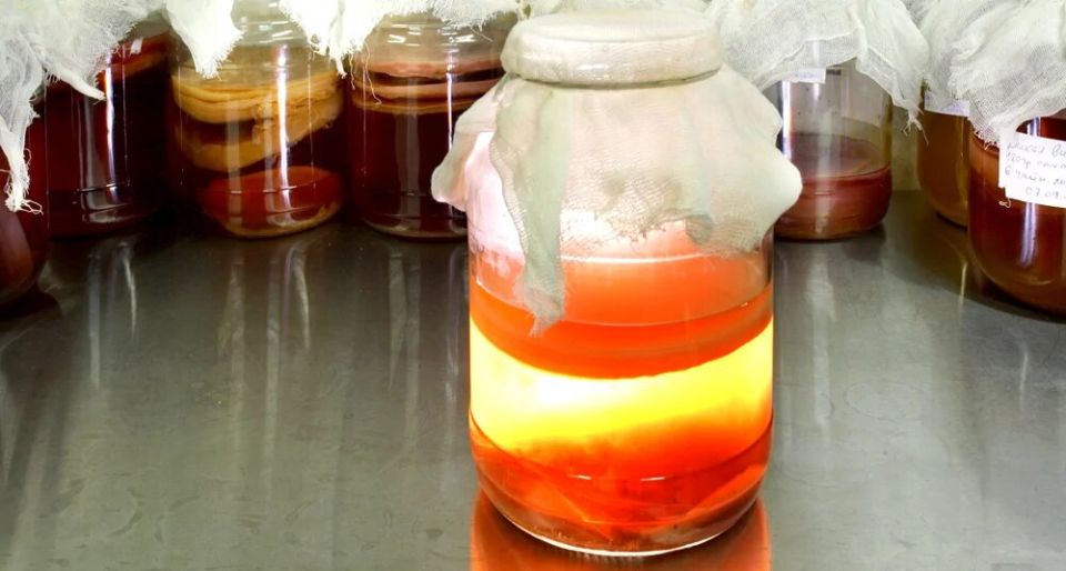 ������ ���� � ��� �����������: �� �������� ����� �� ������������ ���������