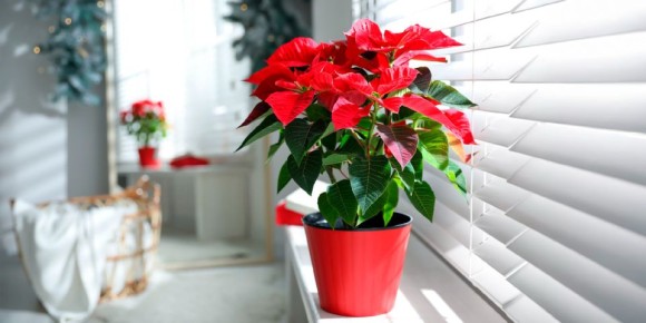 ��� ��������� �� ��������� ���������� � ����� ������ � ��������� ������ �� ���� �� �����