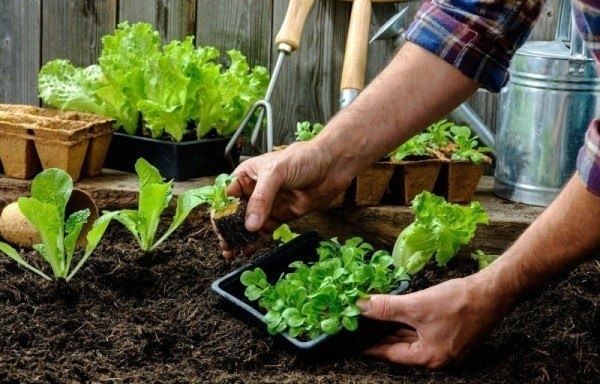 ���������������� ������ ��� ����������� �������: ��� ������ ���� ������� ���������?