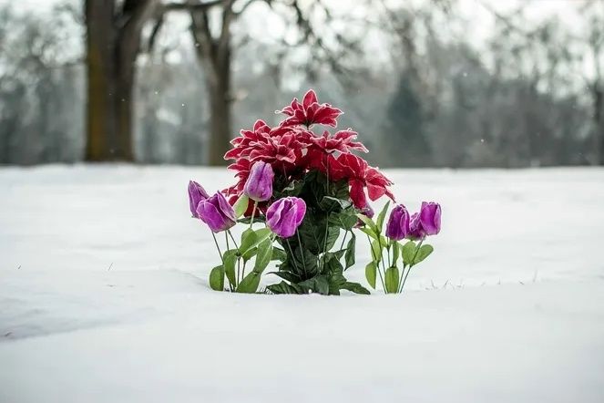 ������� ����� �� ����������: ����� �� ��� ����� �������� � ����� ���� ������