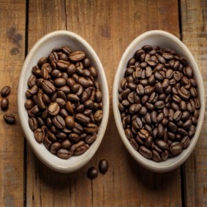 ������� ������ �������: ��� ������� ��������� ���� ��� ����