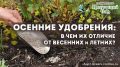 Осенние удобрения: секреты подготовки вашего сада к зиме