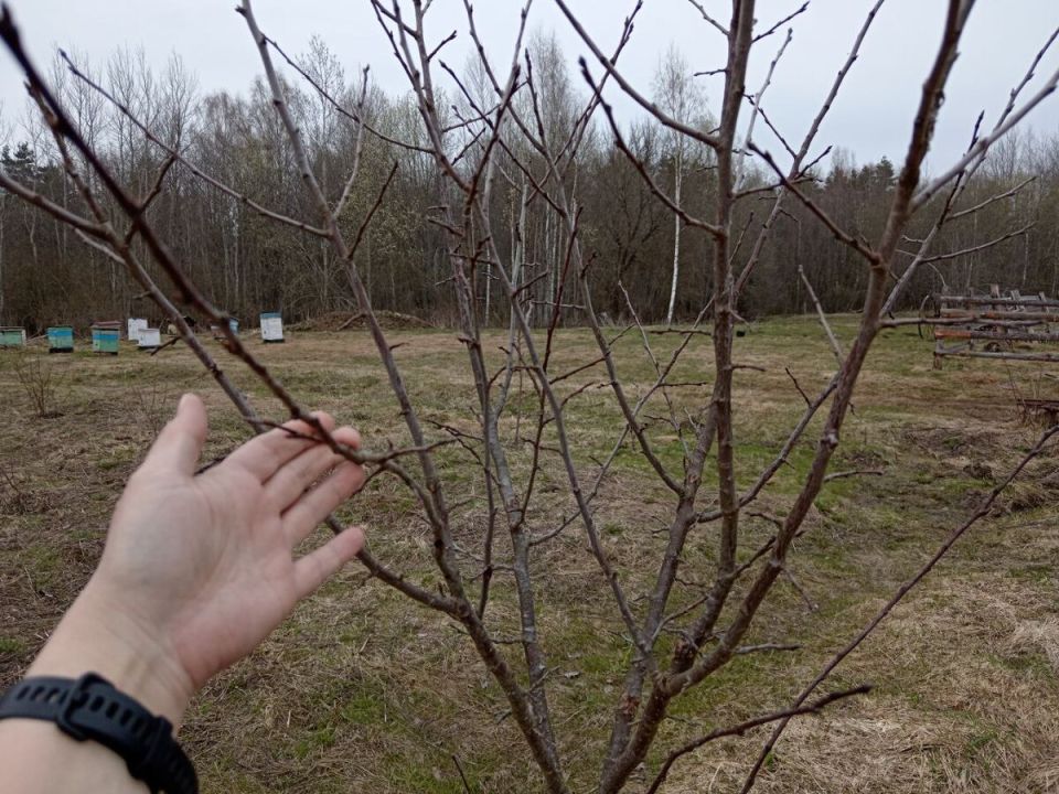 ������� ������ �������� ��������� ����� ������