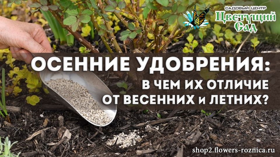 ������� ���������: ������� ���������� ������ ���� � ����