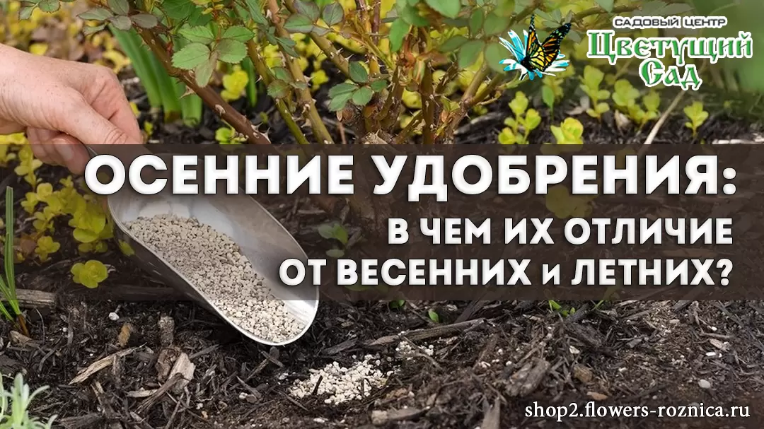 Осенние удобрения: секреты подготовки вашего сада к зиме