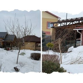 ����� � ����: ������ ���� � ����������