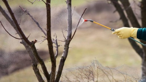 �������� ���� �� �����: ��� ��������� ������������ ������� � �����