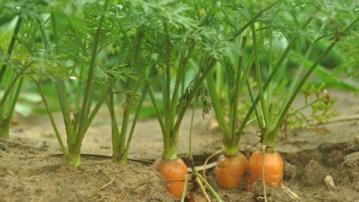 ������ ����� � ������� �� ����� �������������� �� ����� ������