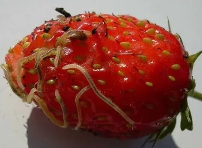 ��� ���������� �������� �� ��������� � ������ ������